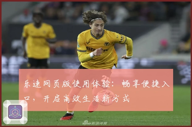 乐速网页版使用体验：畅享便捷入口，开启高效生活新方式